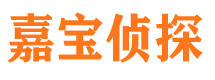 爱民出轨调查